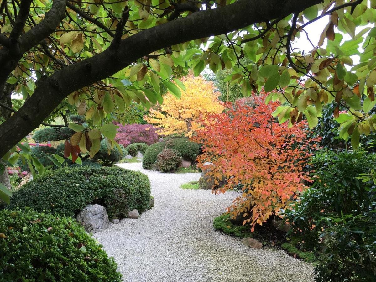 Den Japanske Have B & B Herning Exterior foto